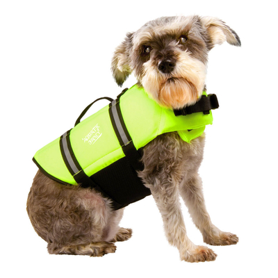 Gilet de sauvetage vert de chien de manteau de flotteur pour nager la poignée réglable et réfléchie de grippage fournisseur